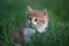 九游在线玩-_热火坚持防守,击退对手反扑_,热火队的联防战术