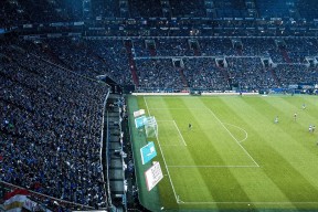 九游sports-南非羚羊队：精密防守与冷静反击使其成为冠军热门，南非羚羊皮可以干嘛用