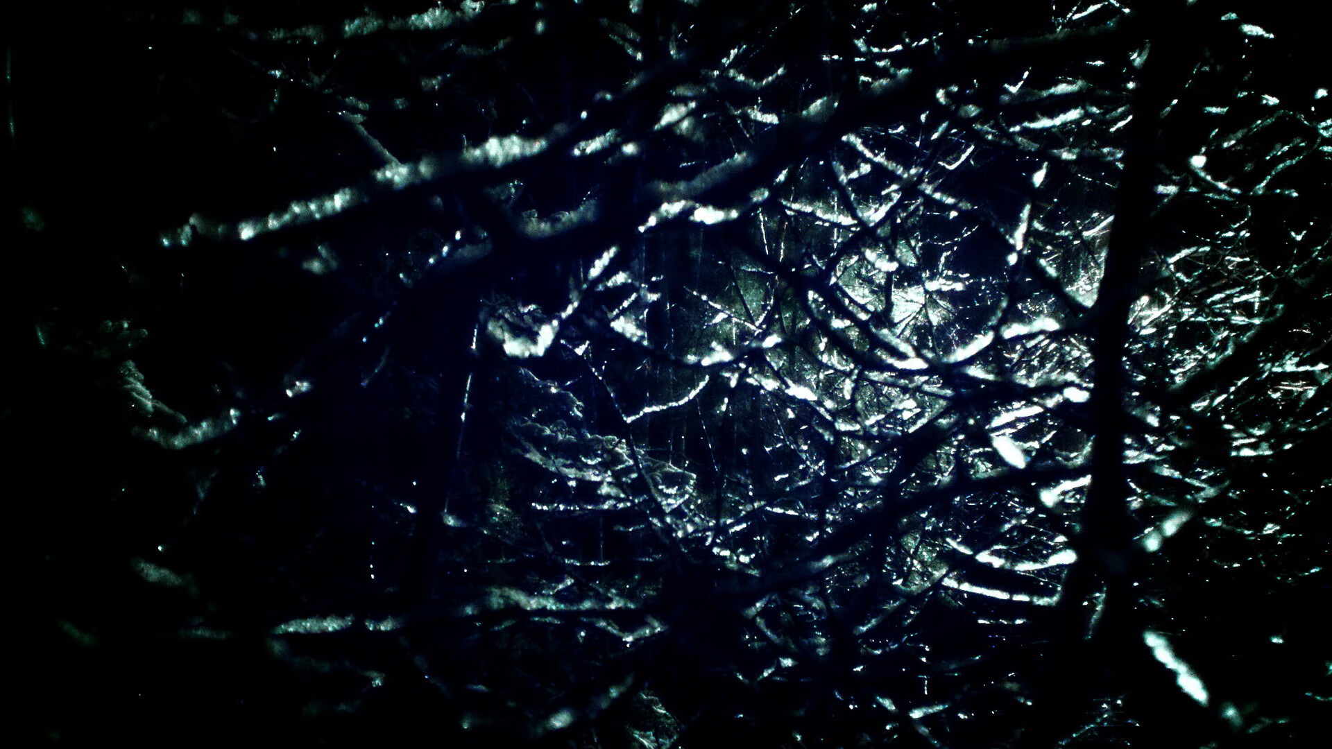 “中超大牌外援纷纷续约,联赛稳定性增强”,中超引进的最大牌外援