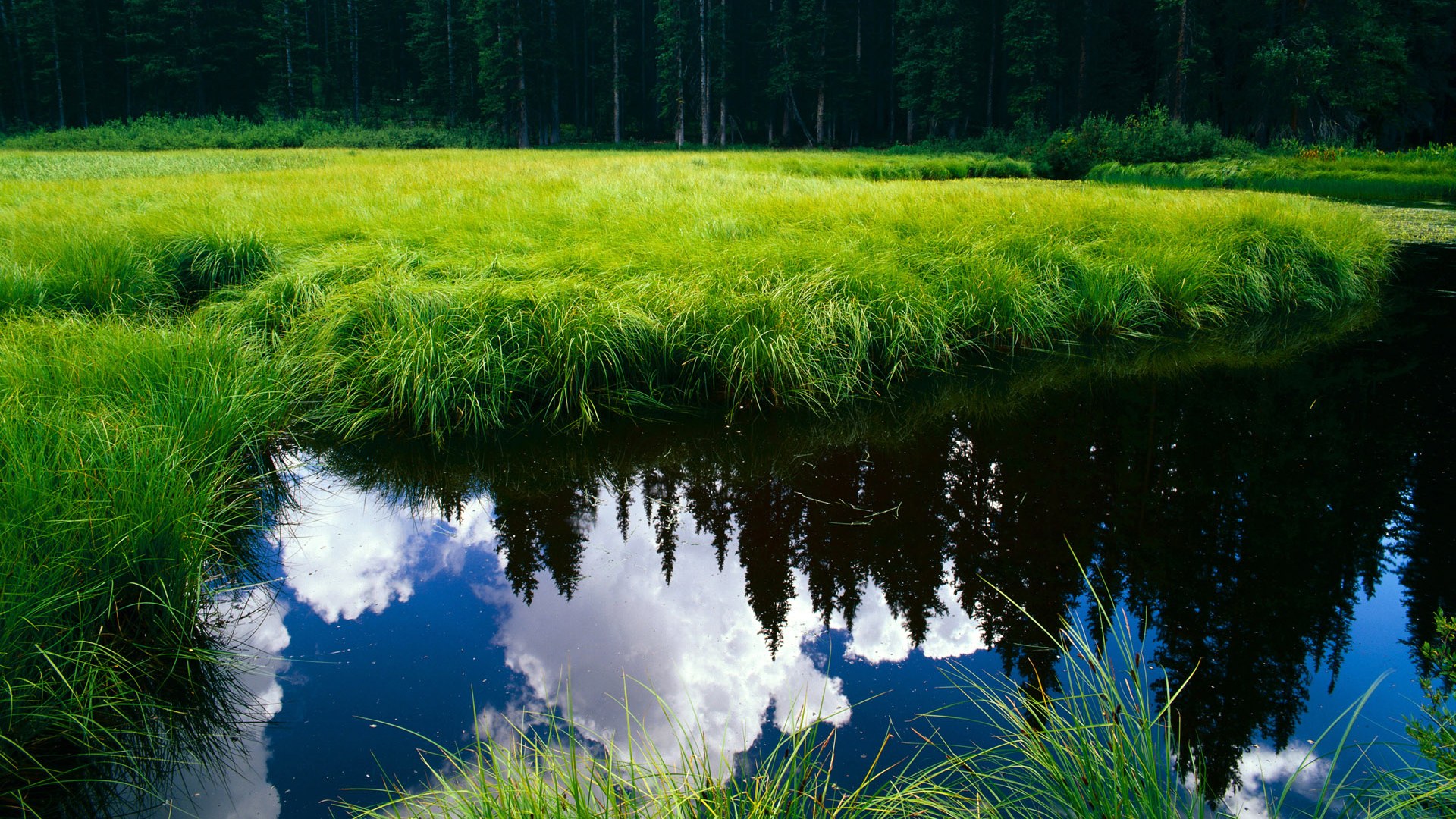 “高原极速:雪山顶端的孤独追逐”,高原上的雪山