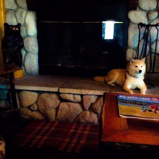 中国运动员在国际篮球赛中屡创佳绩，彰显国家实力，中国国际篮球名人堂