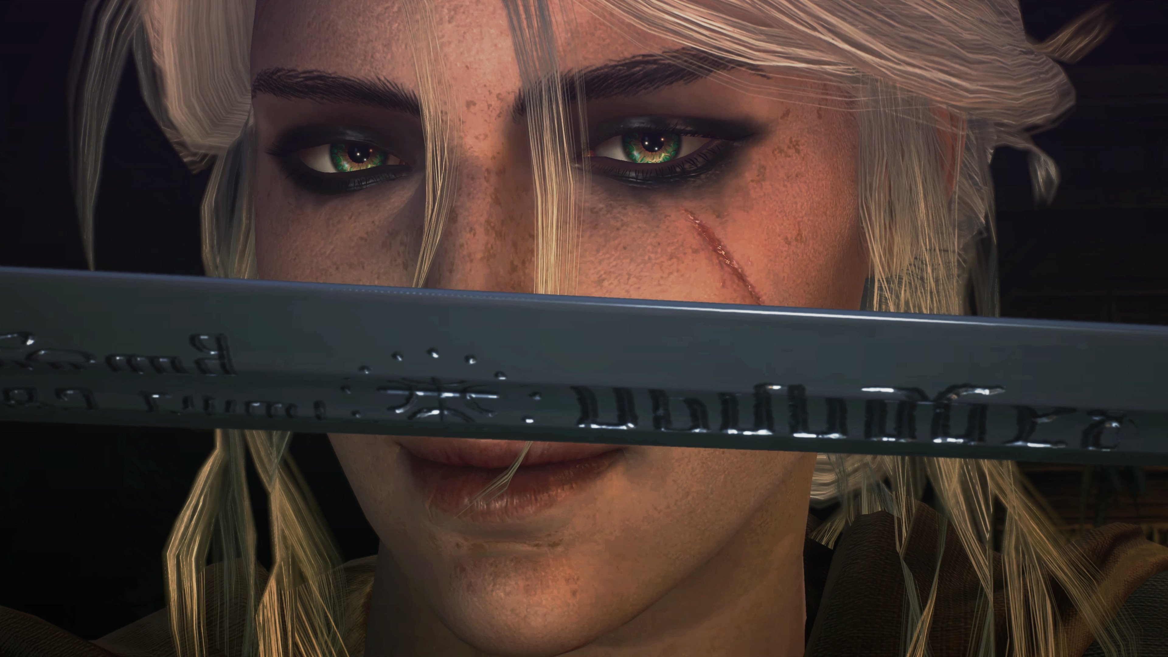 伊朗马术协会开展马匹福利宣传活动,提升公众意识。,伊朗 大马士革