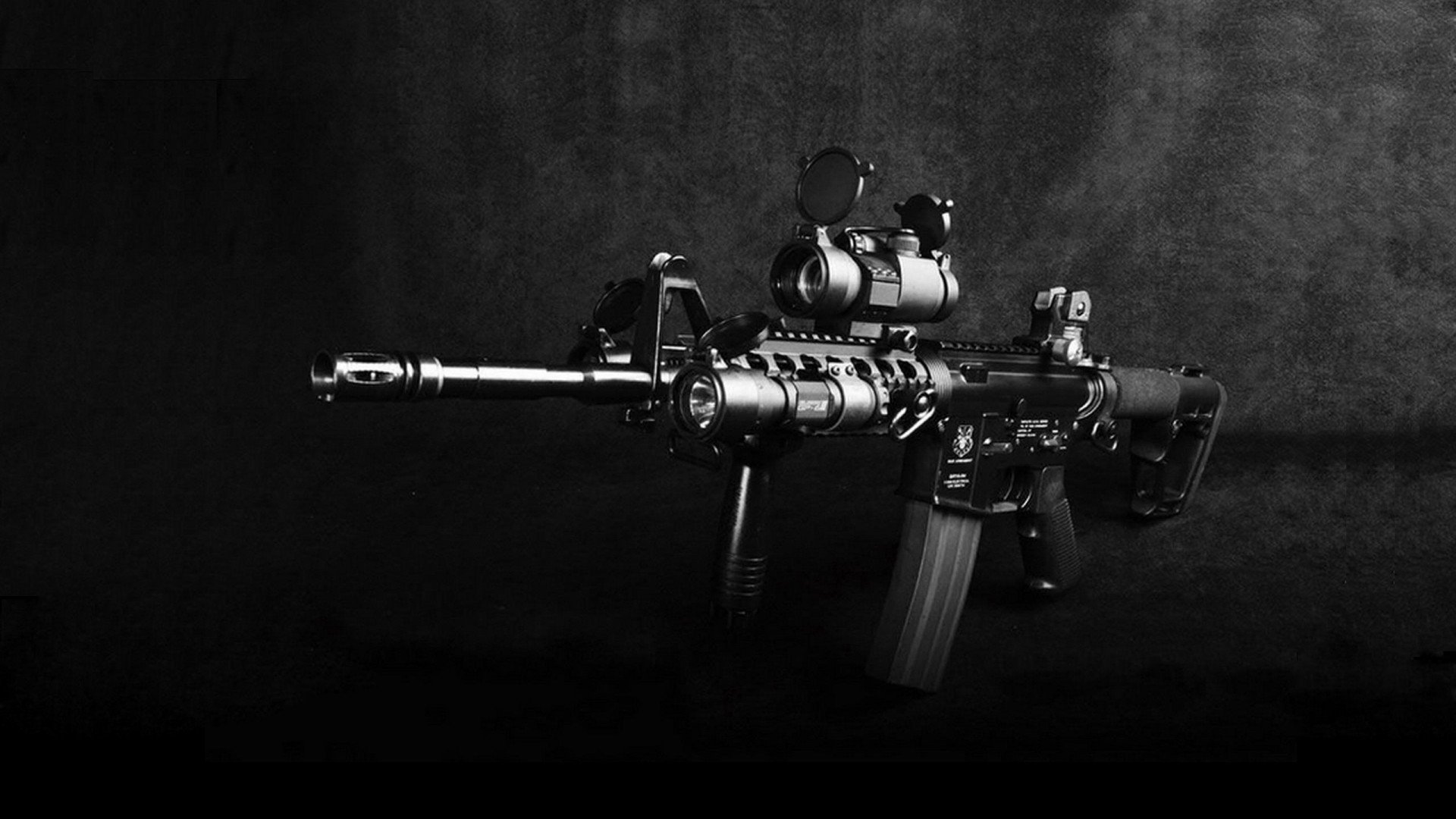 伊朗马术协会开展马匹福利宣传活动,提升公众意识。,伊朗 大马士革