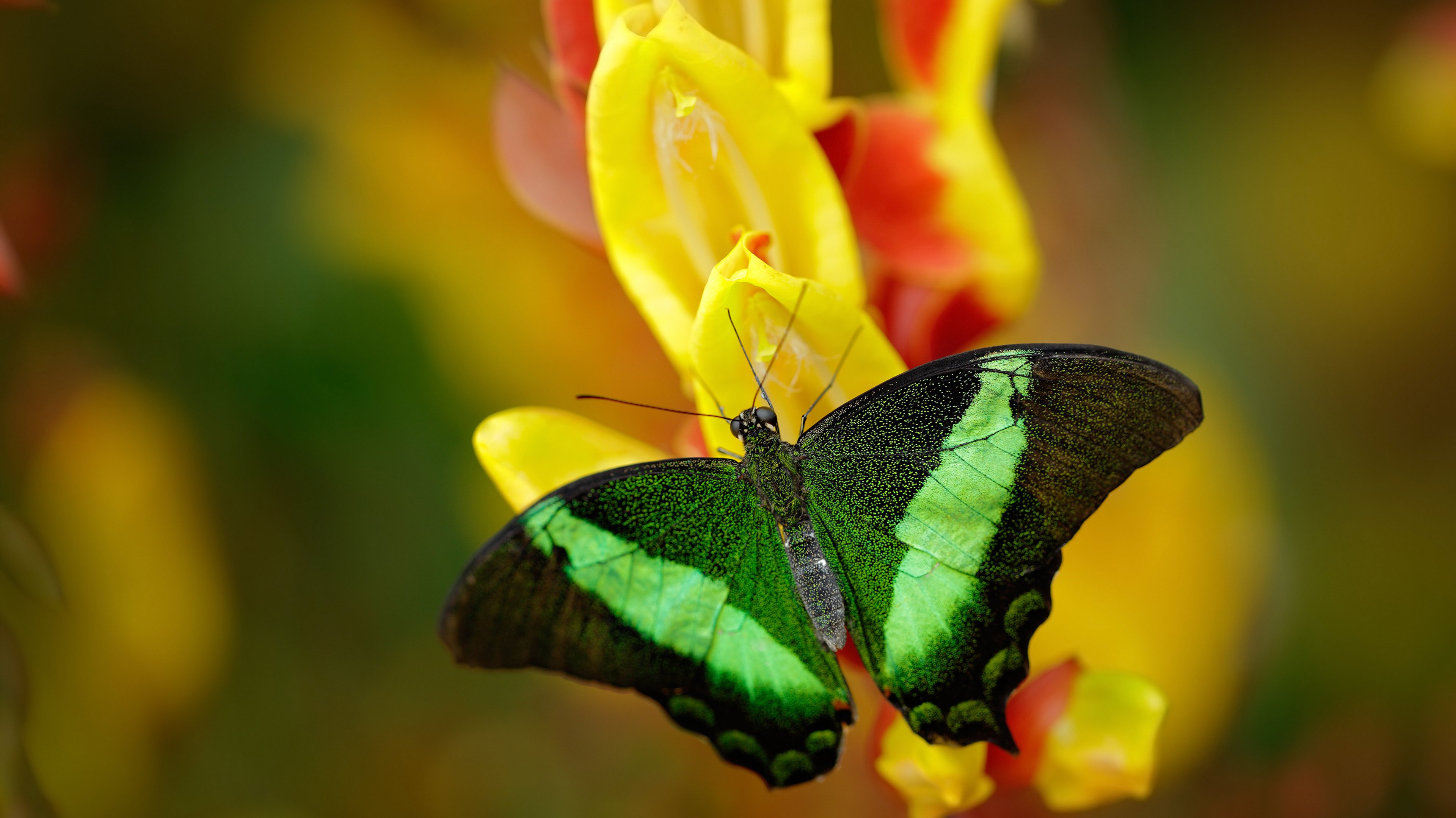 全国青少年“篮球HOPE”慈善公益赛火热进行中,全国青少年篮球公开赛
