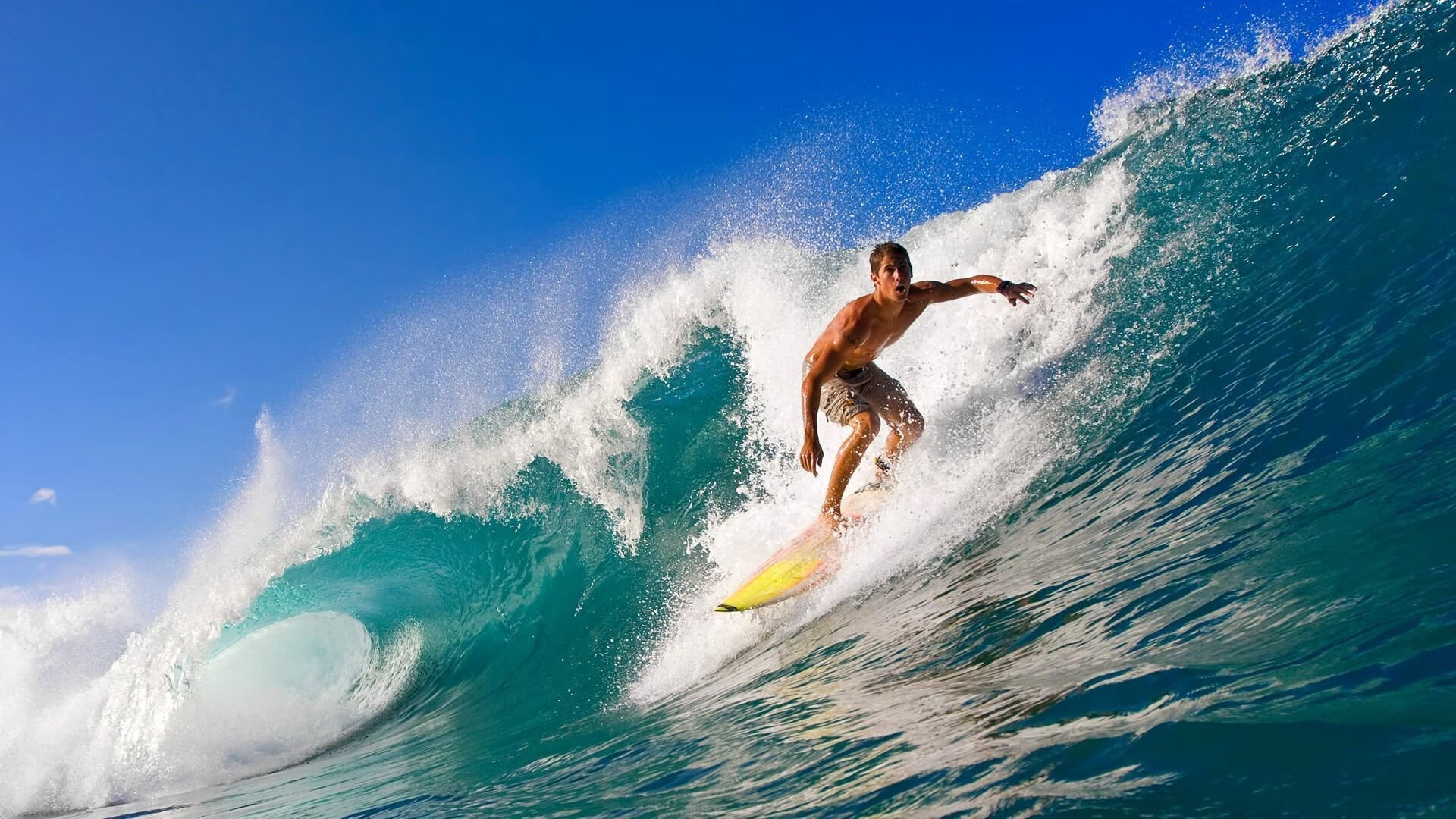 国家青年联赛全面启动打造全国统一高水平竞赛平台,全国青联是什么意思